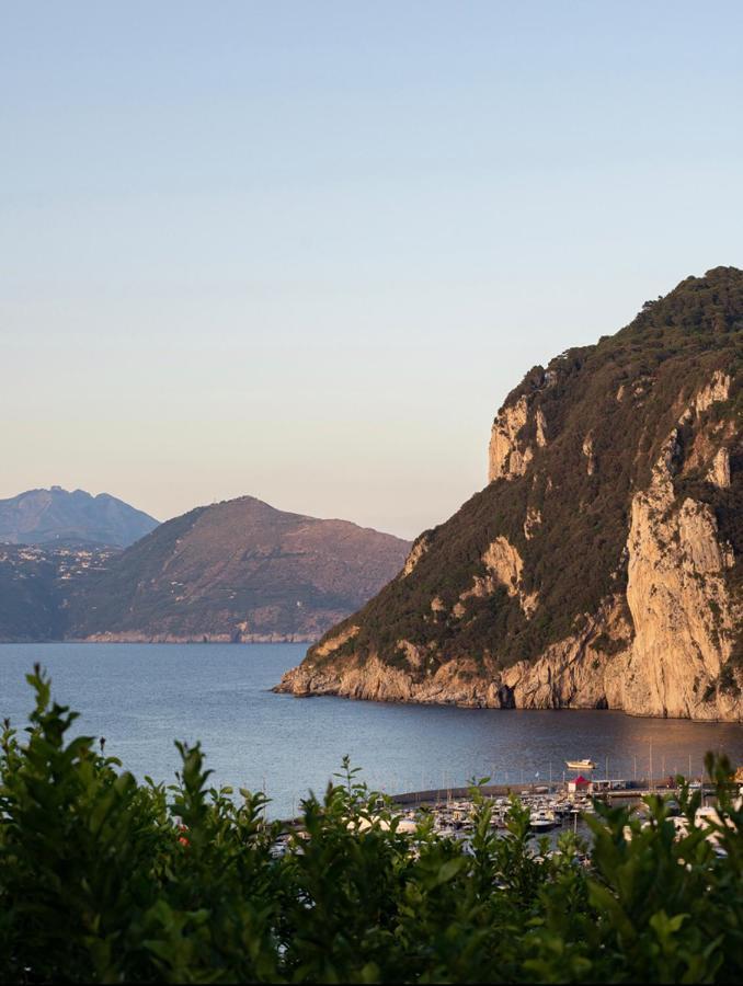 Capri Suite Marina Grande Eksteriør billede