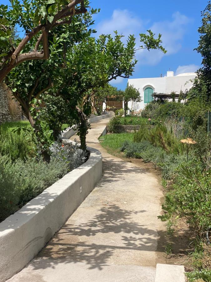 Capri Suite Marina Grande Eksteriør billede