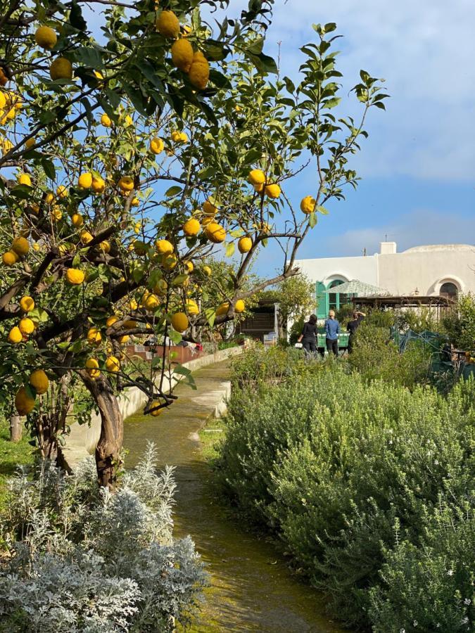 Capri Suite Marina Grande Eksteriør billede